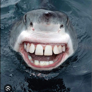 Meet your Posher, Hunter